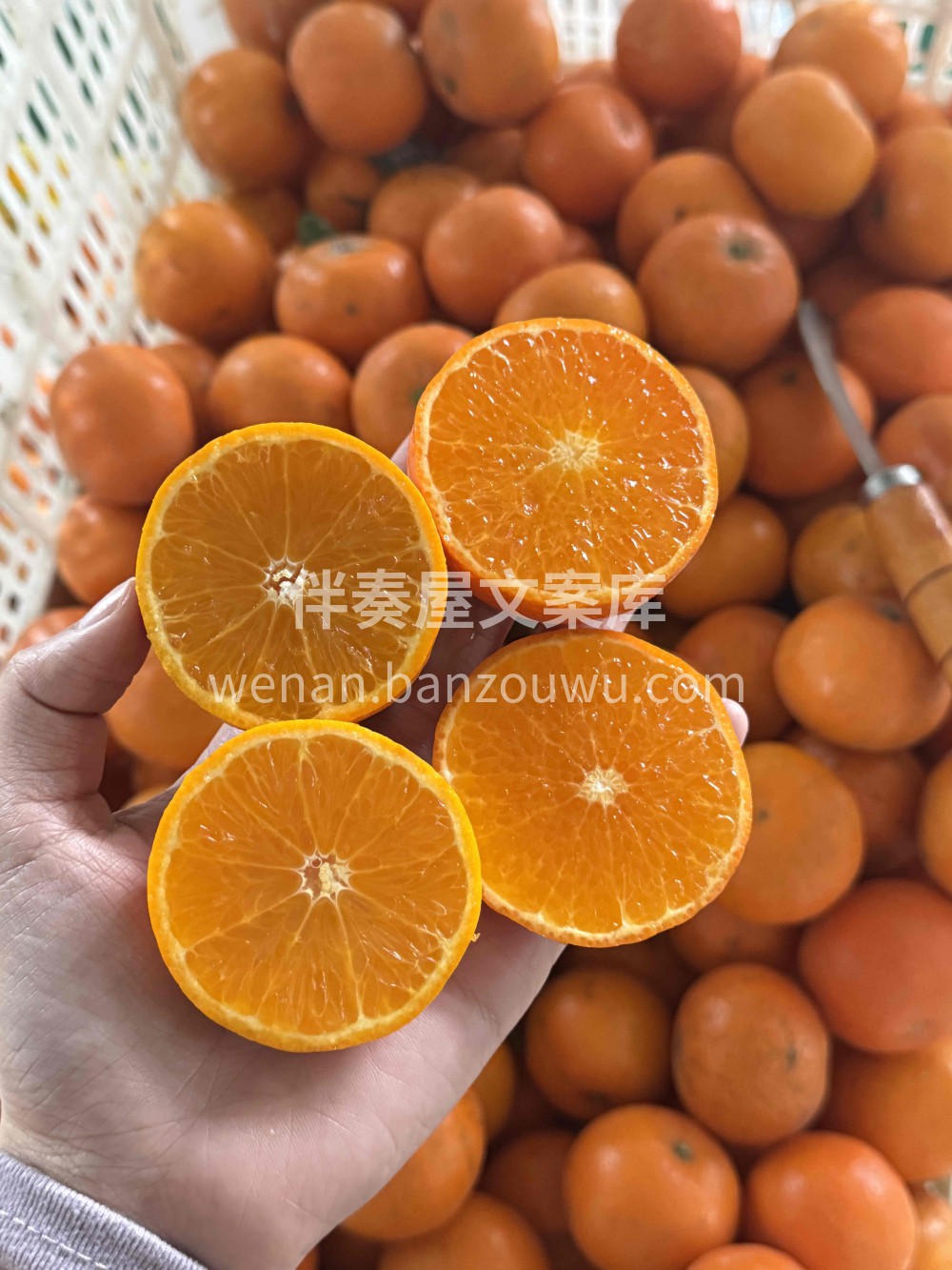 柑橘党的快乐来了❤️发货实拍，敲甜➕浓烈 配图1