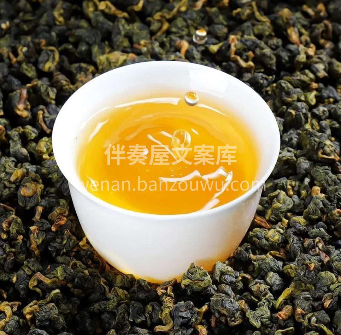 高山云雾出好茶。新到的冻顶乌龙，茶汤金黄 配图3