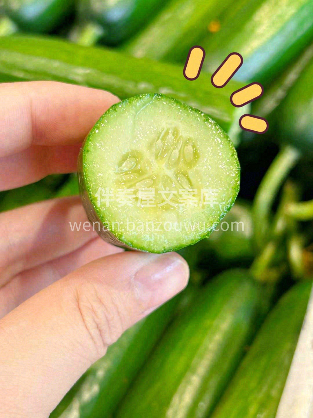 🥒表皮光滑小刺少，体型饱满肉更多， 从中 配图2