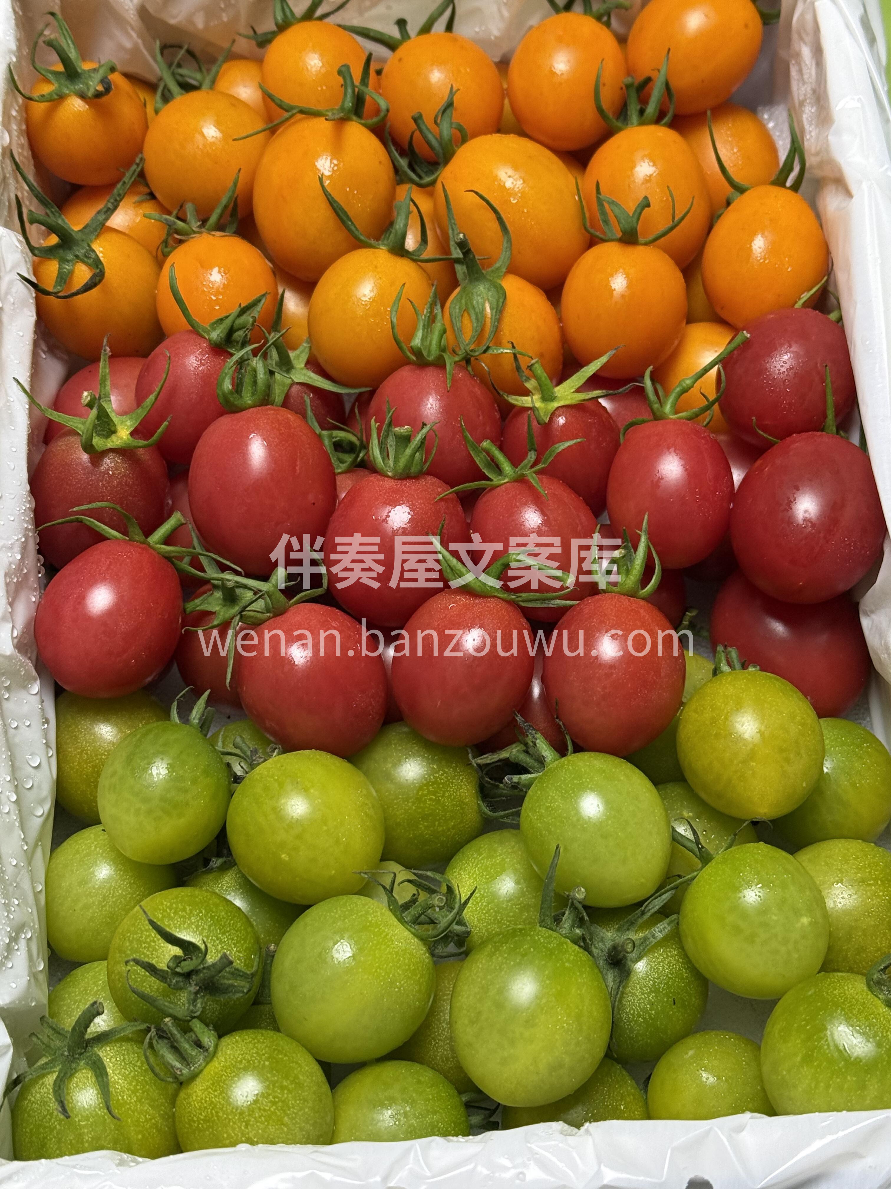 ✨三色小番茄聚齐一起，召唤维C小战士 如 配图2