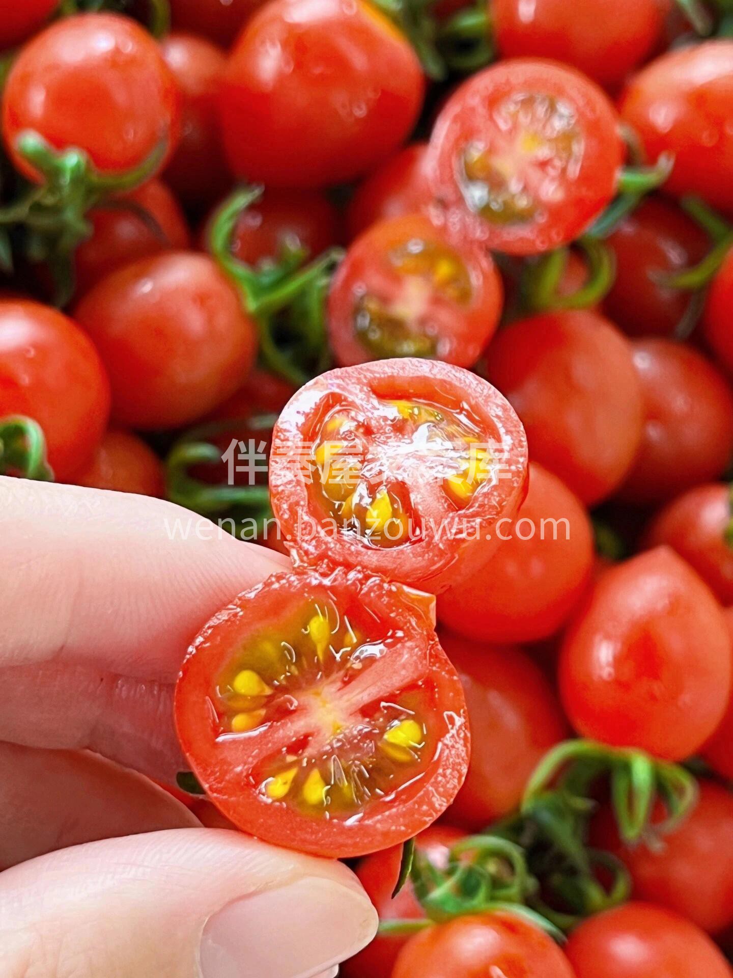 海南千禧爆汁小番茄🍅VC小炸弹💣 果香浓 配图1