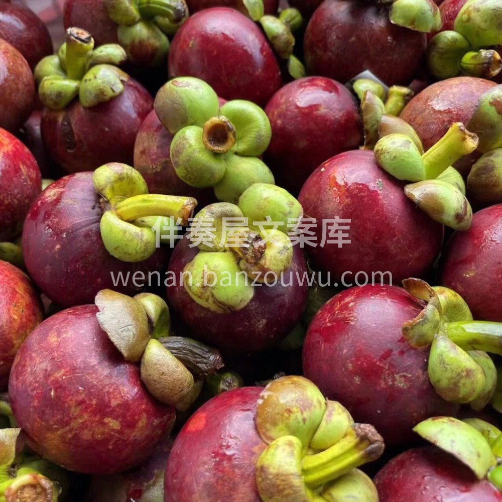 印尼🇮🇩5A山竹最新到货，非常新鲜，多汁 配图3
