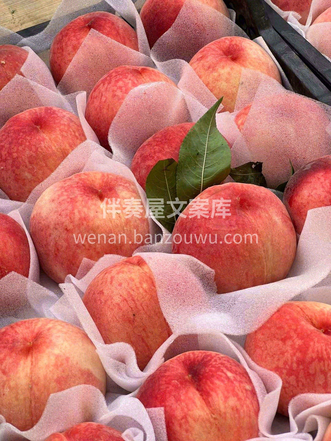 一款可以吸着吃的桃子🍑，撕开粉嫩的外衣👚 配图3