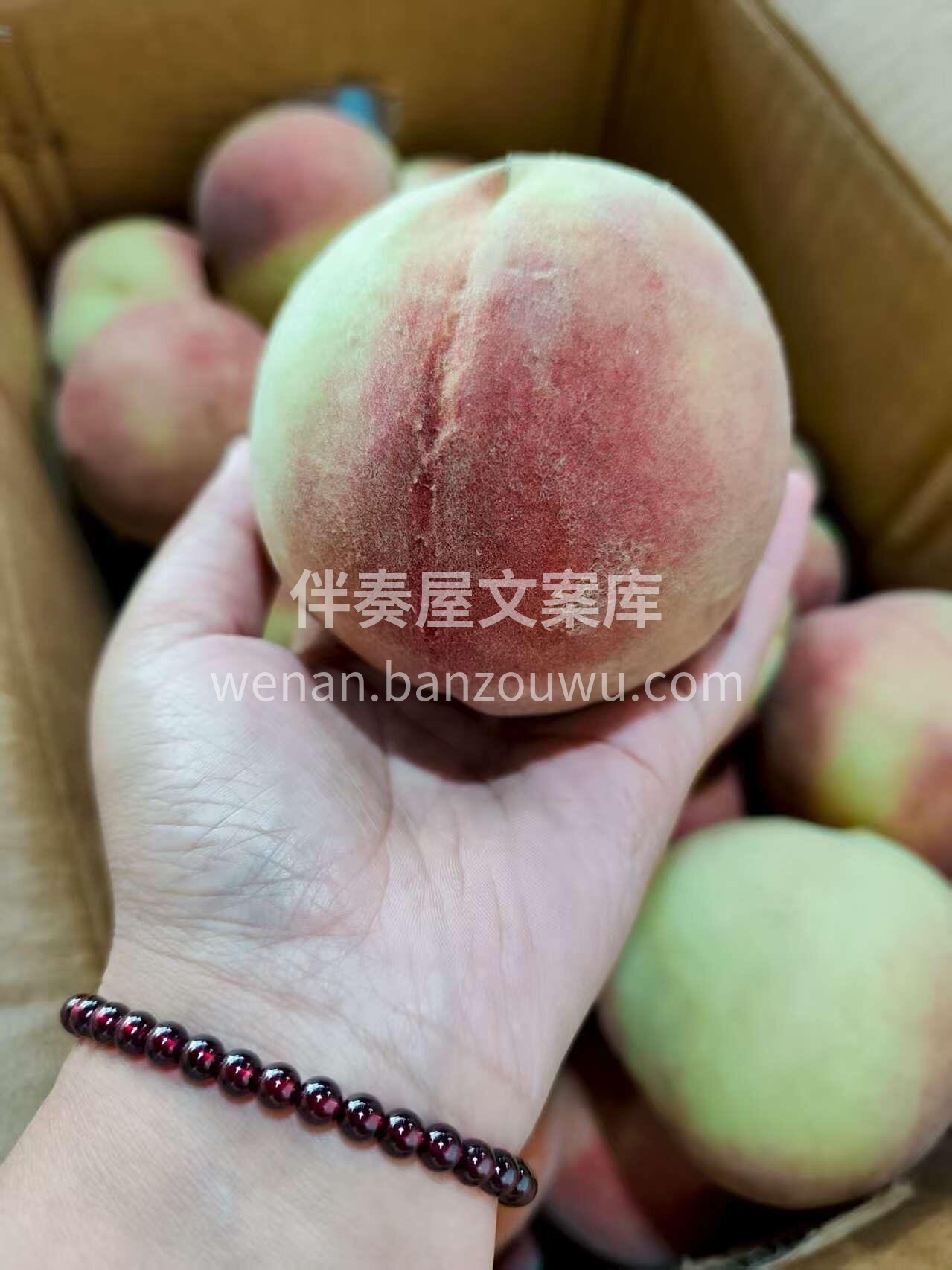 🍑脆甜冬桃上新～ 赏过十里桃花、走过万亩 配图3