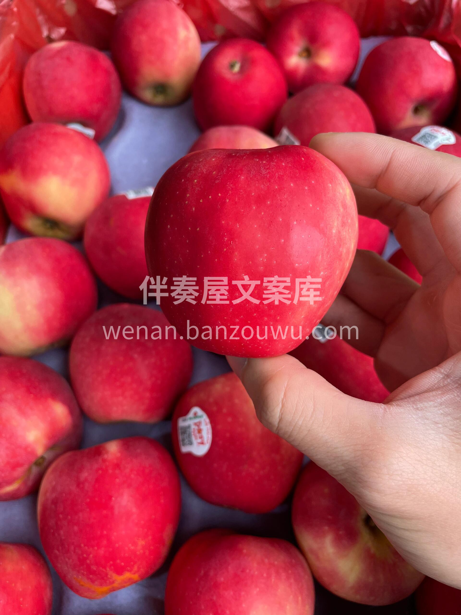 新西兰苹果产季的新品🎉 C位出道的小花苹 配图2