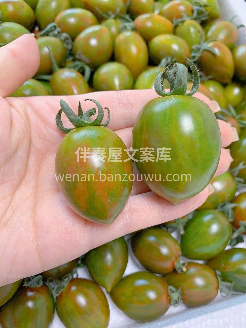 浓缩的都是精华💎 迷彩小番茄🍅，小小的身 配图3
