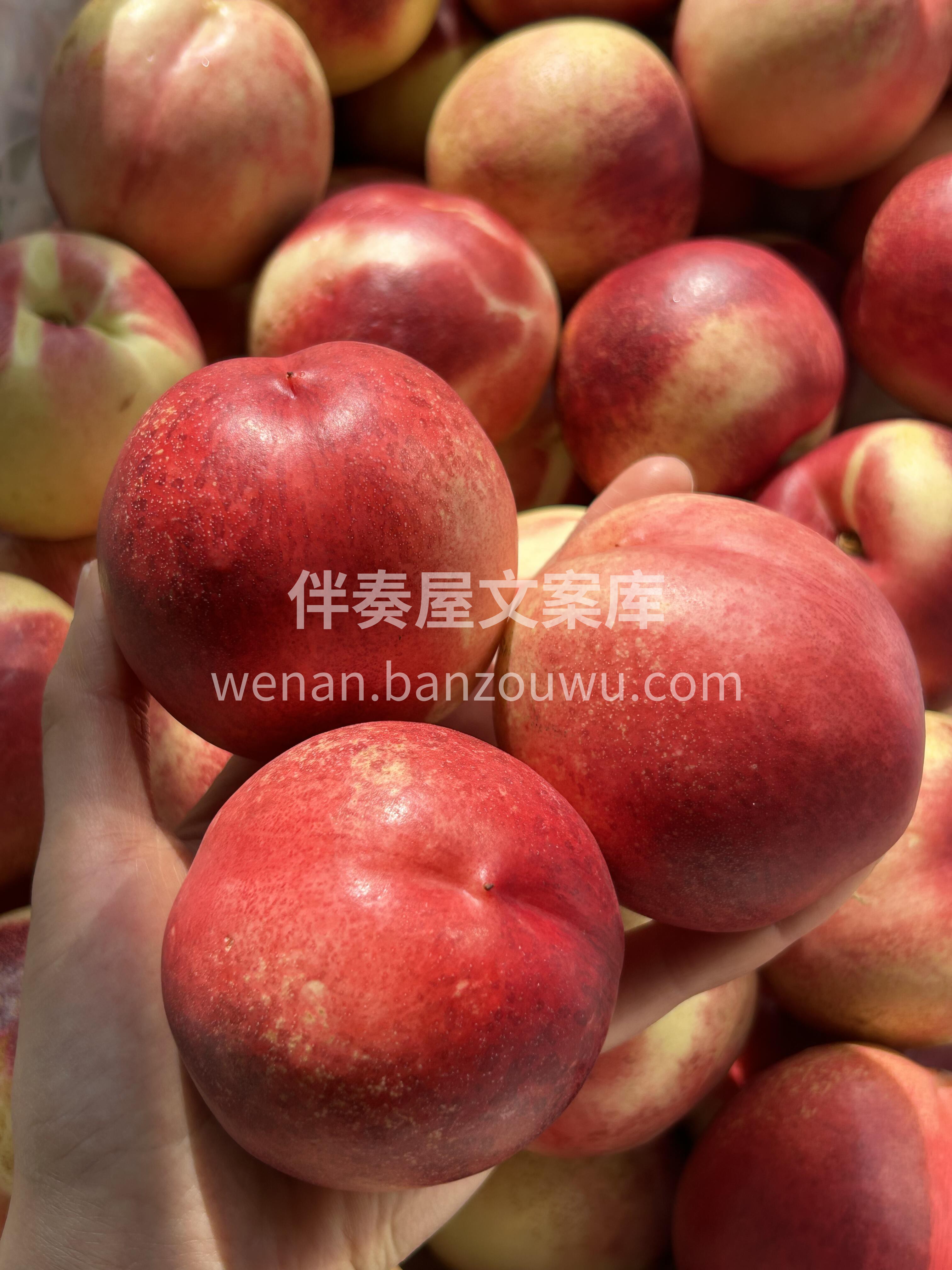 ❤️别说油桃遍地 它就是不一样的油桃 来 配图2