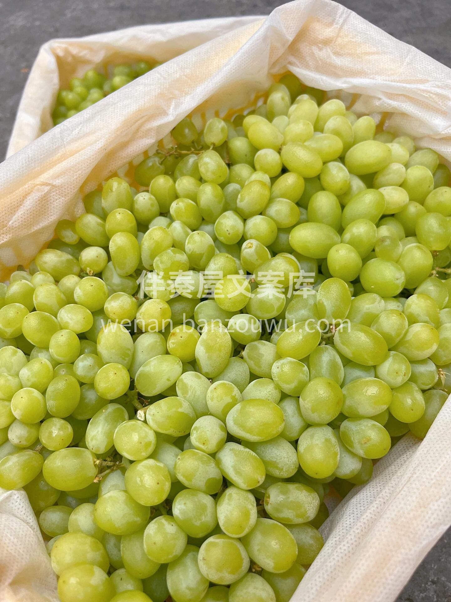 🔥爆品返场，新疆马奶提到货！🍇 全是好评 配图2