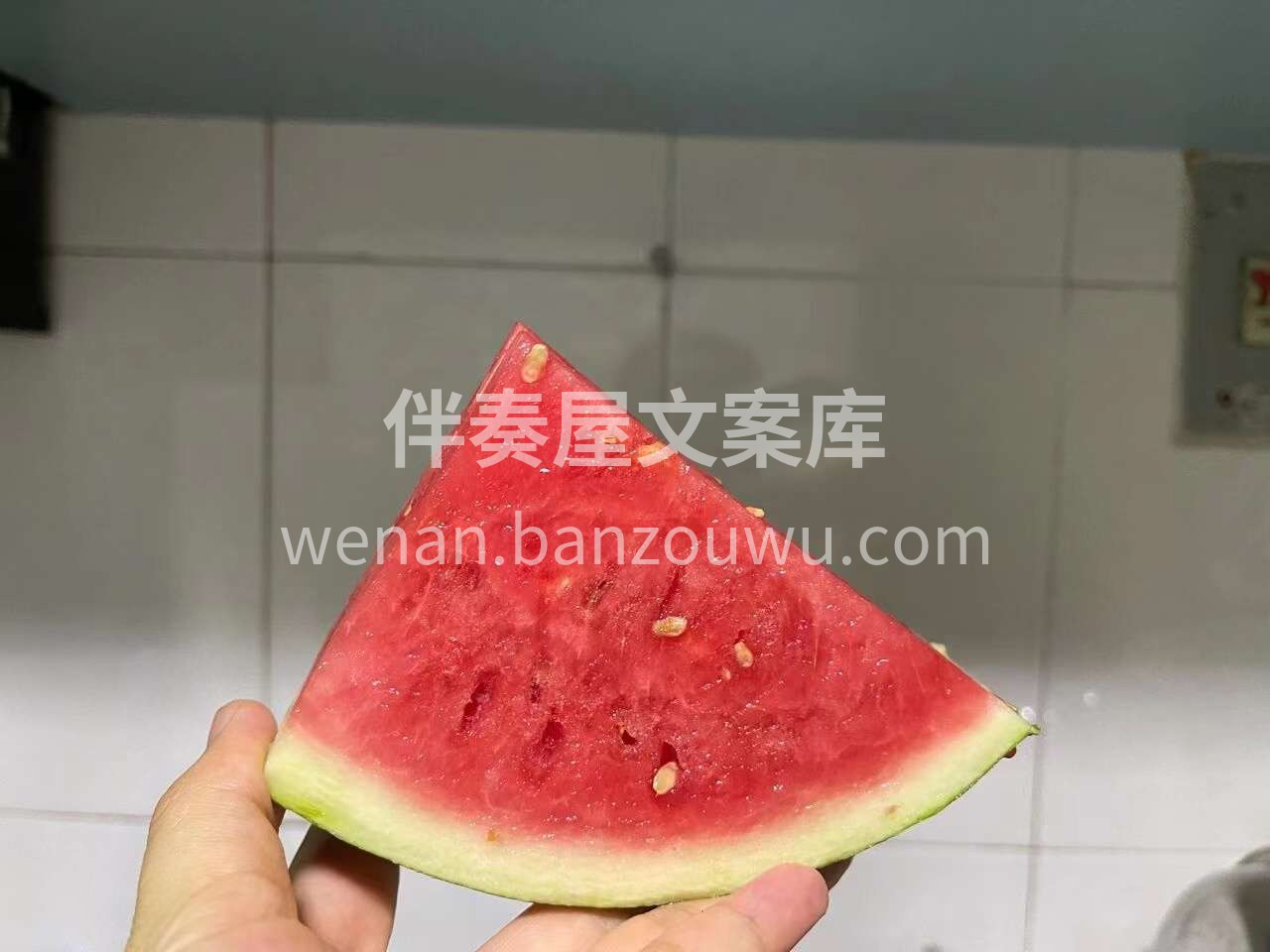 无论秋天、冬天、雨天、晴天🖐️ 不管哪一 配图1
