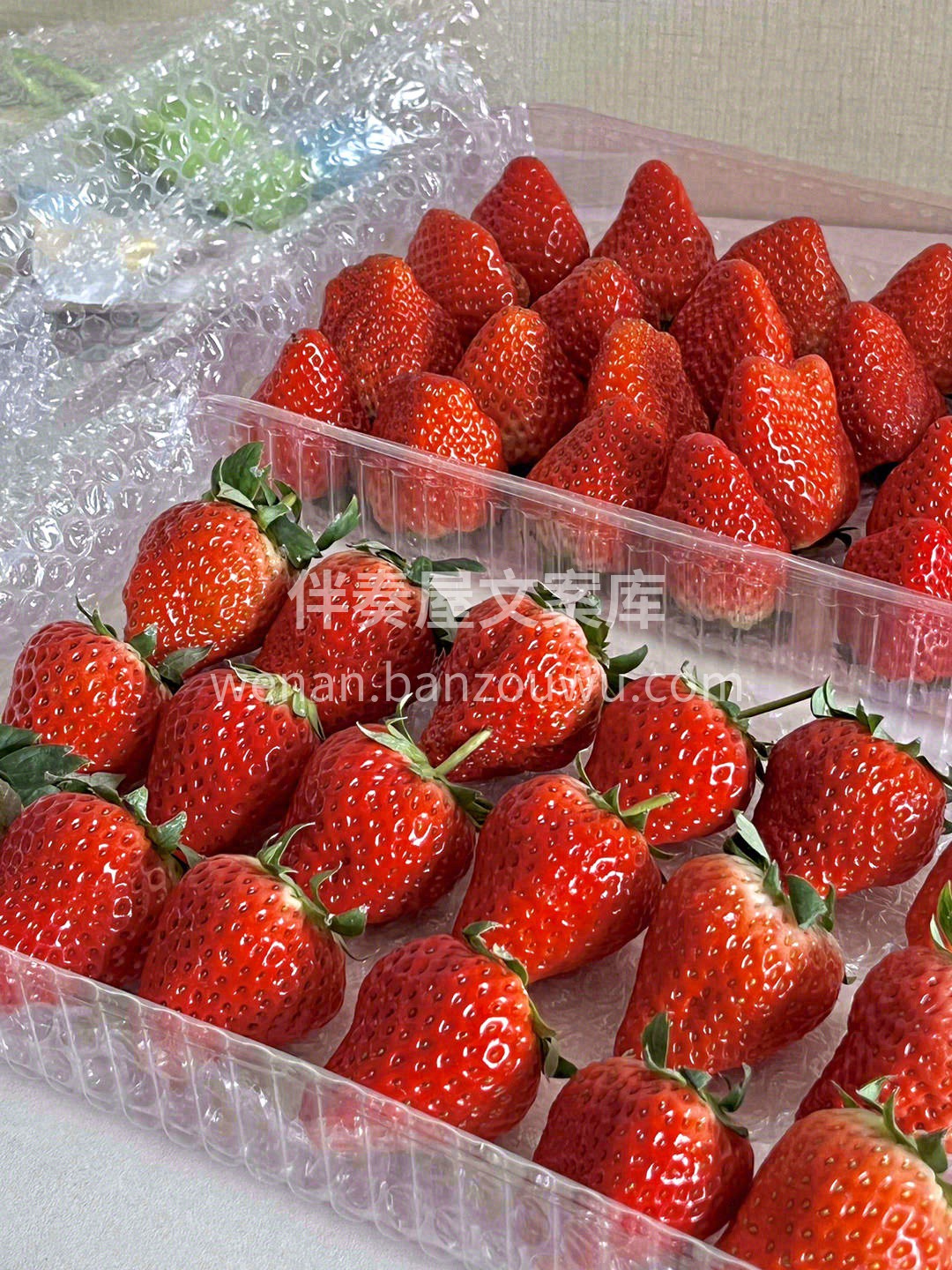 又到了草莓爆甜的季节！🍓🍓 吃过丹东99 配图2