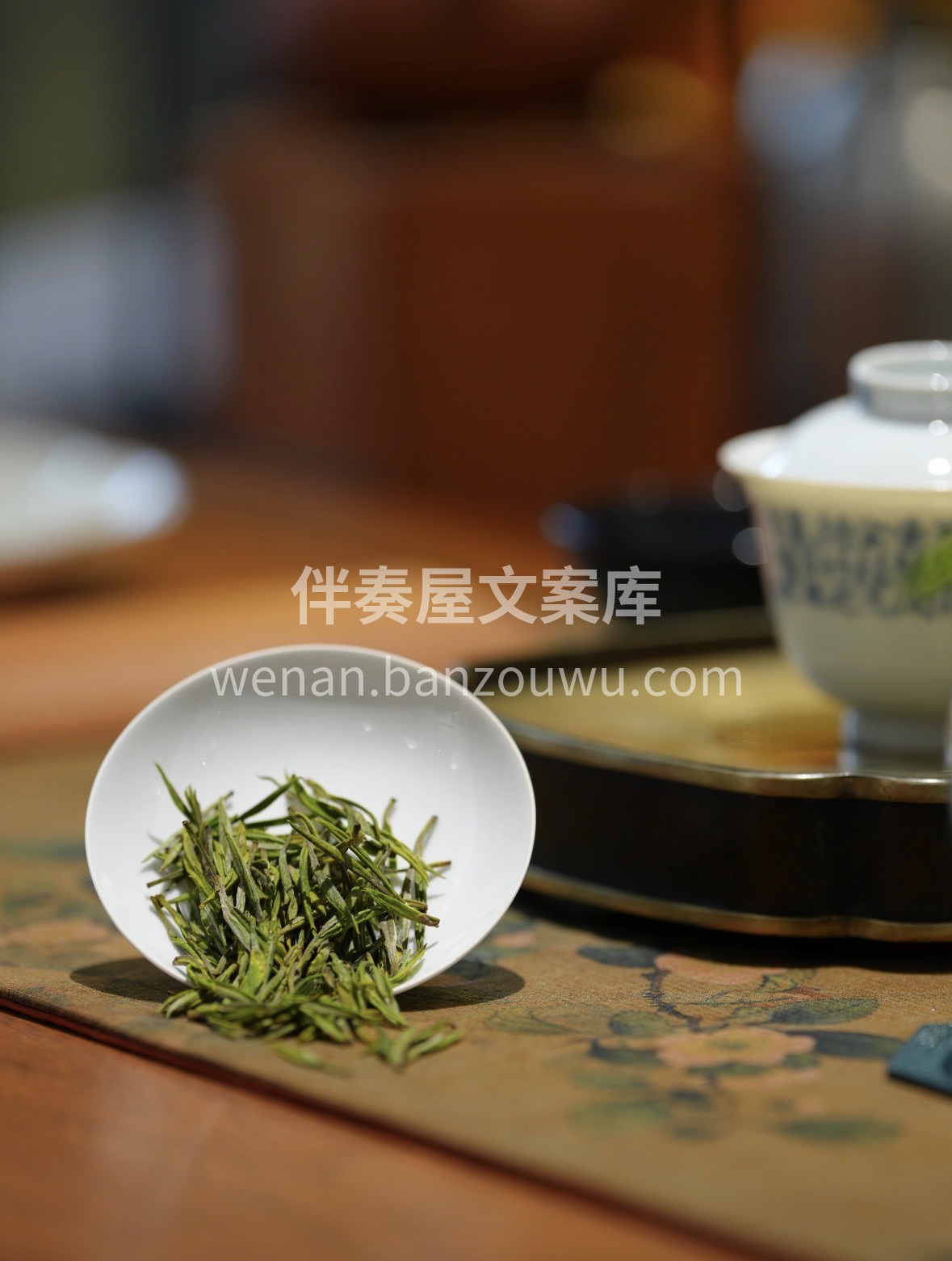 春风入茶山，安吉白茶头采上新。叶白脉翠， 配图1