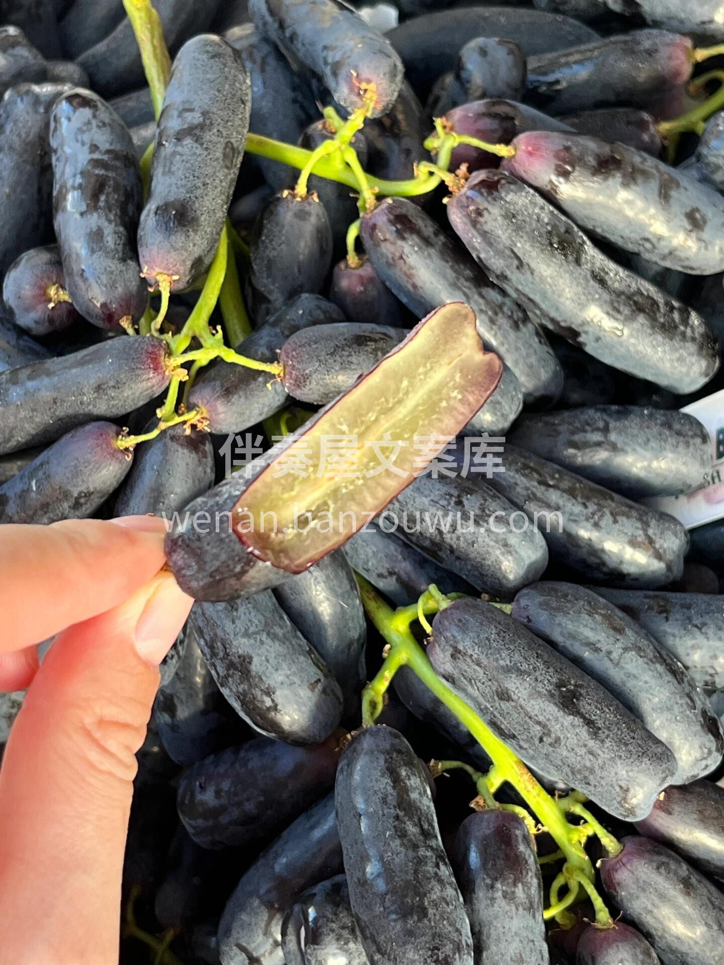 💅美人指蓝宝石🍇 香甜清爽，皮薄如丝，摘 配图1