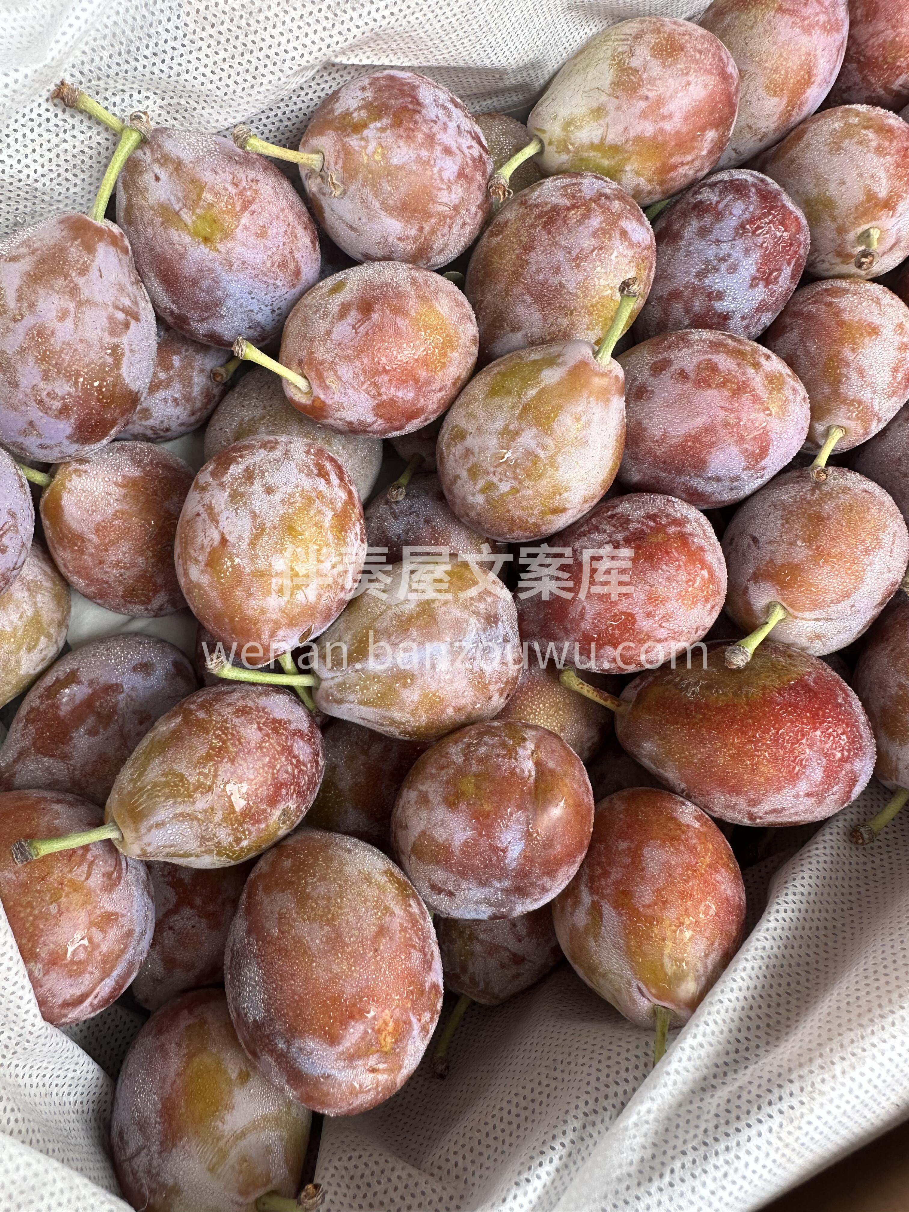 西梅✅ 真正的0脂肪水果，具有超高纤维👍 配图3
