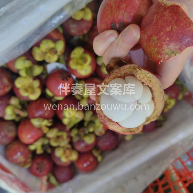 夏‬季‬人‬气‬王‬🔥‬山‬竹‬ 滑嫩沁 配图3