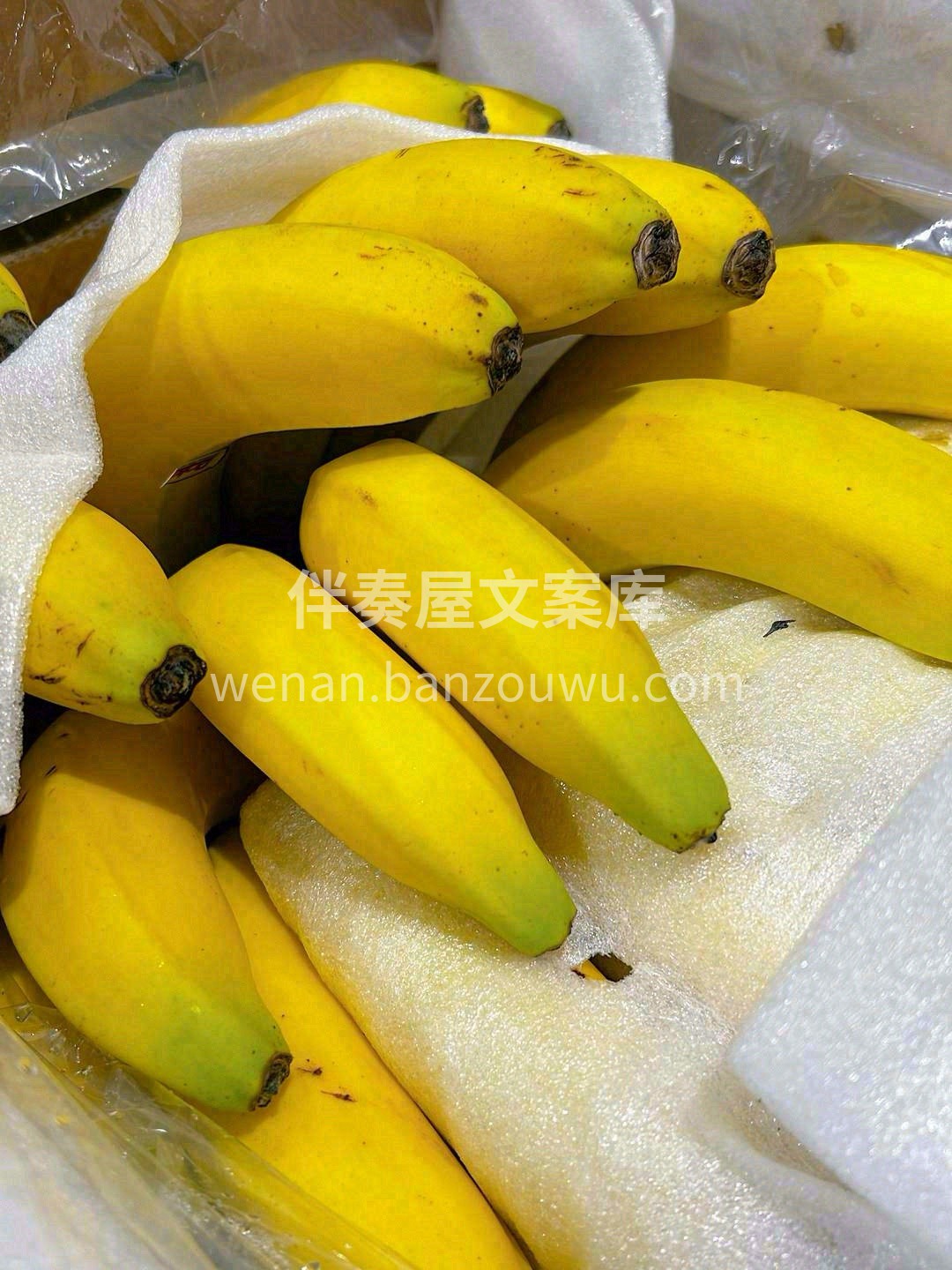 小小的个头里包裹着一颗香甜的心🍭🍭 每一 配图3