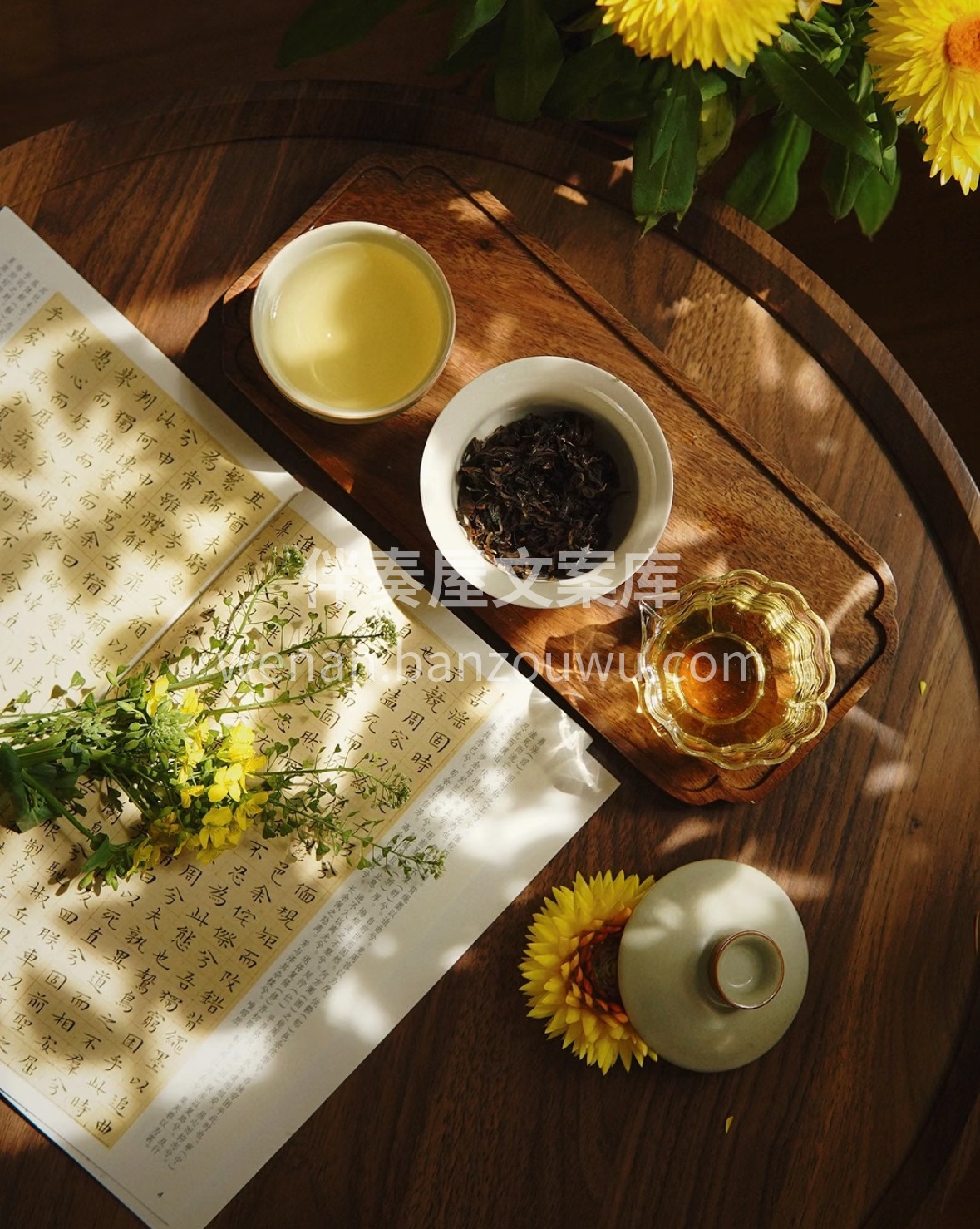 从阿里山茶园到茶席，台湾乌龙带着山风的鲜 配图3
