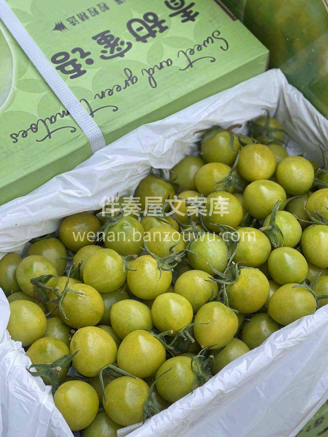 青口蜜——清新脱俗派🌿 带着一股特殊的清 配图1