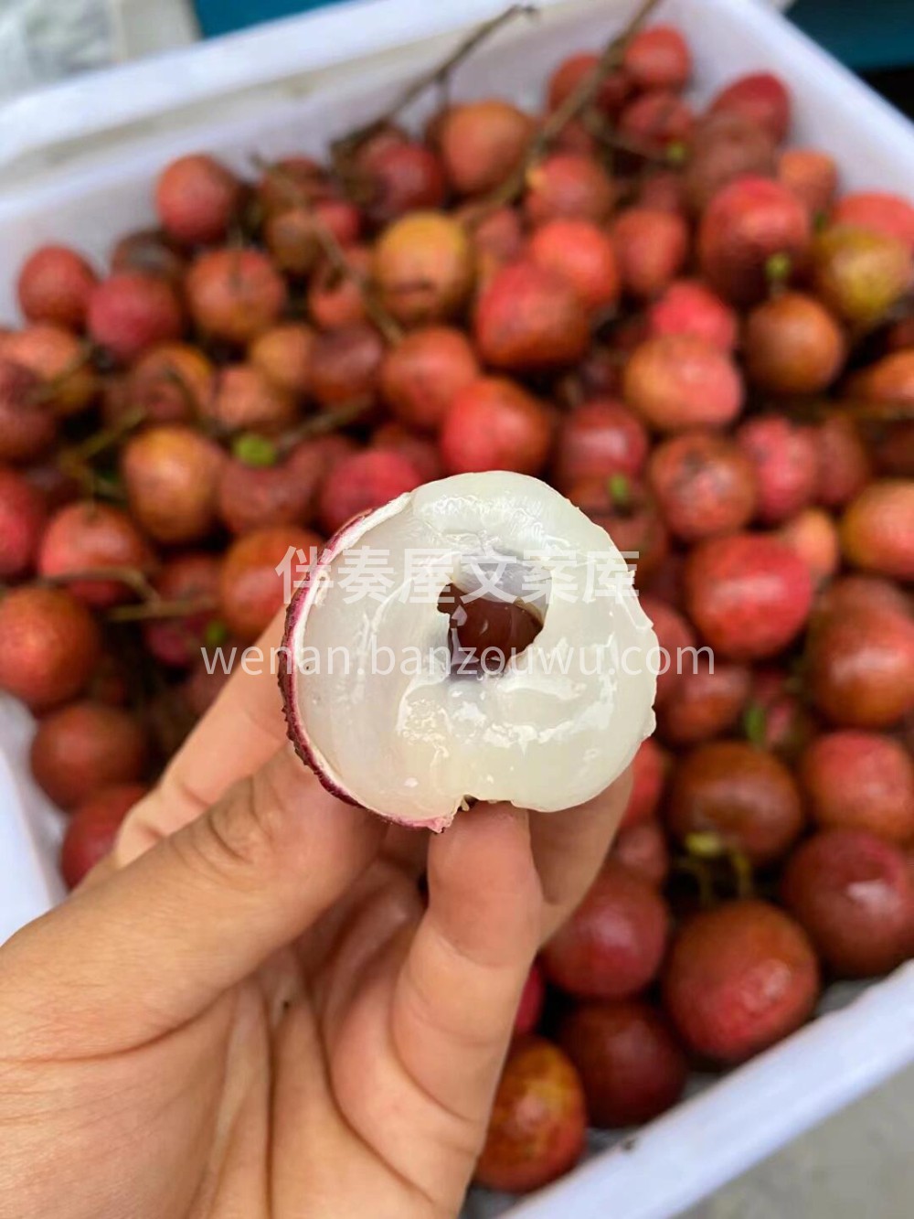 当季热卖🔥黑叶荔枝🍓肉质脆嫩，饱满多汁👍 配图2