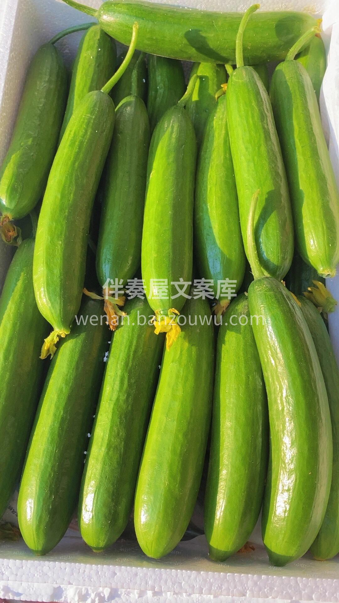 ❤️不要问我在不在🙈 😎年纪轻轻怎么会不在😂 ✌️要切的，要 配图6