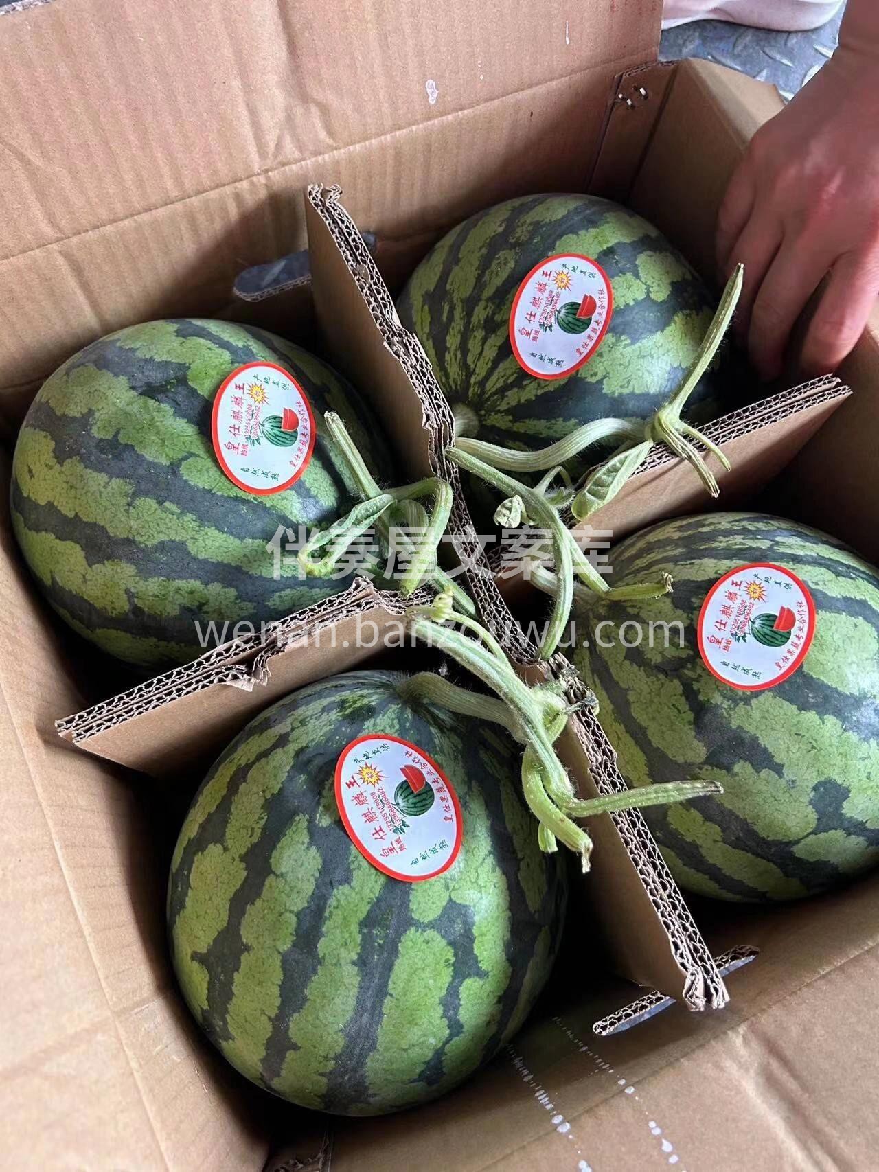 38℃的天气，什么话都不要说🥵 给你空调 配图3