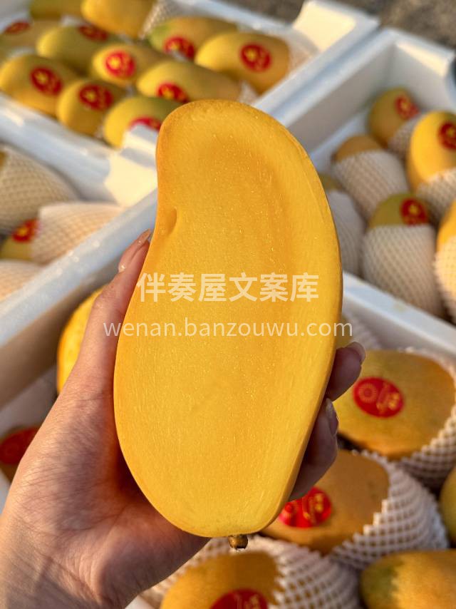 🌿水仙芒新货到🙋🏻‍♂️ 这个季节不吃🥭 配图1