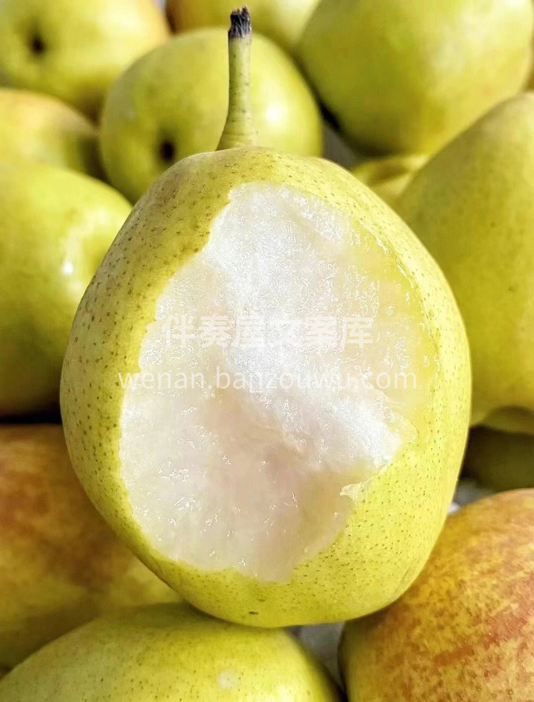 揣着库尔勒香梨🍐，走到哪，水分跟着到哪  配图2