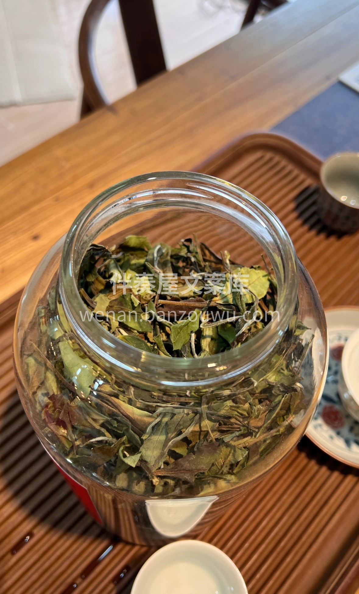 福鼎白茶藏岁月清欢，白毫如霜缀嫩芽。日光 配图1