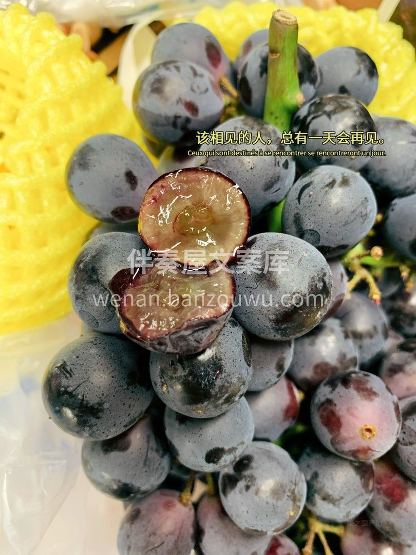 🍇夏黑葡萄简直是葡萄界的“万人迷”💃 黑