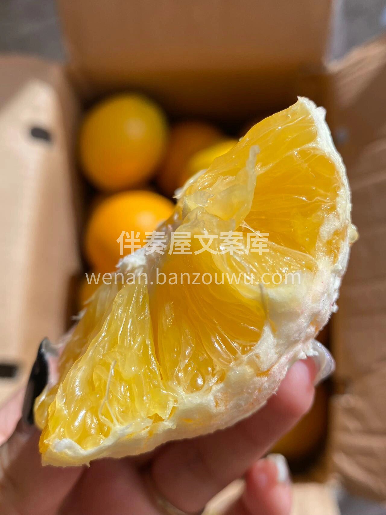 新到货‼️赣南脐橙🍊 轻咬一口，那股自然 配图1