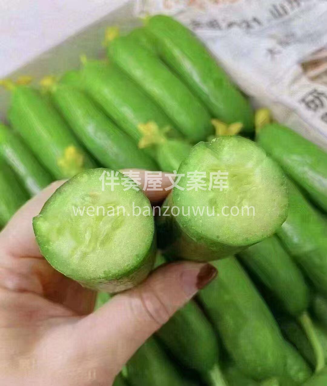 水果青瓜✅🔥口感好！ 🥒无农药生态种植💯 配图1