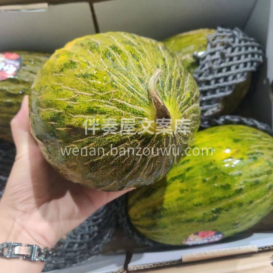🌿在沙漠中摇曳生长，这么顽强的生命力 那 配图3