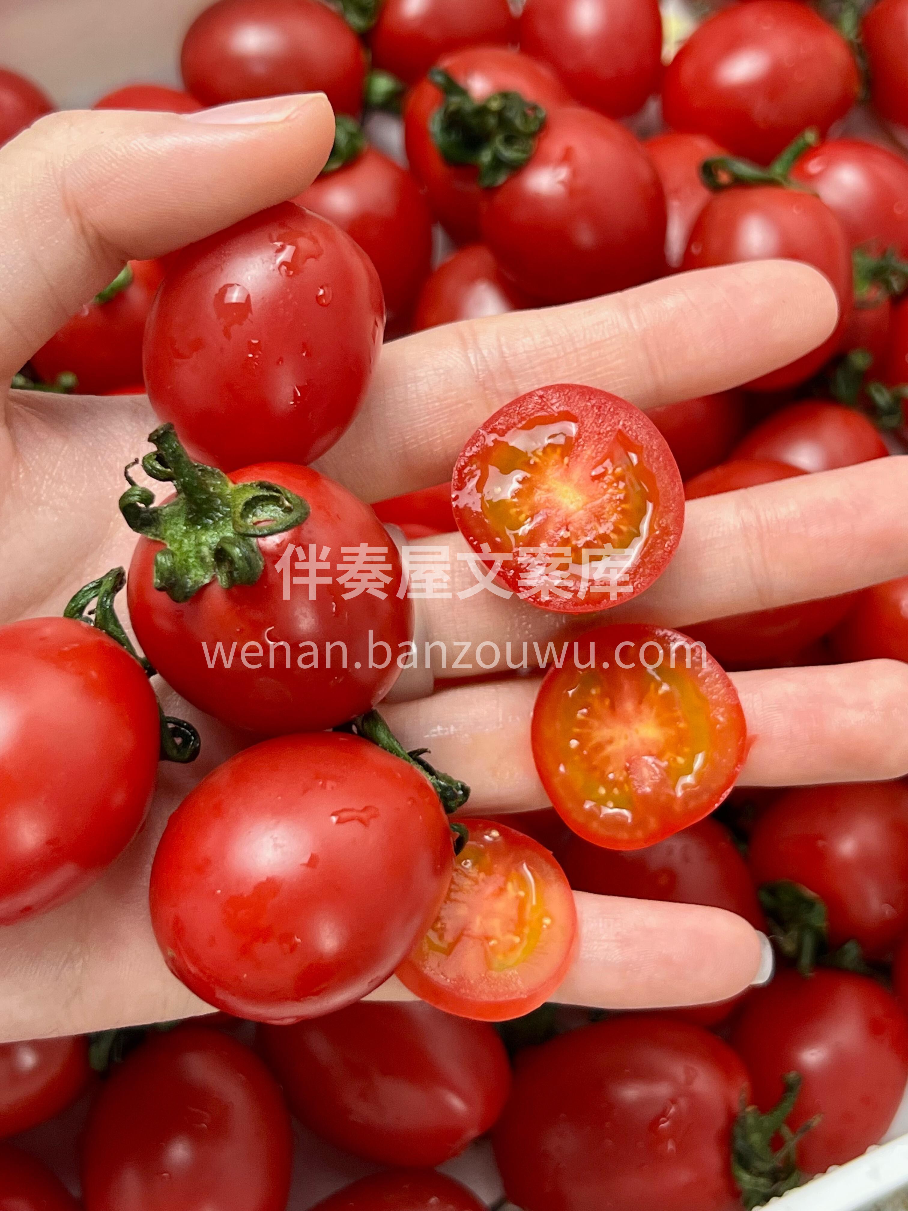 小甜甜千禧到货开箱🎉 全家都爱，孩子们大 配图3