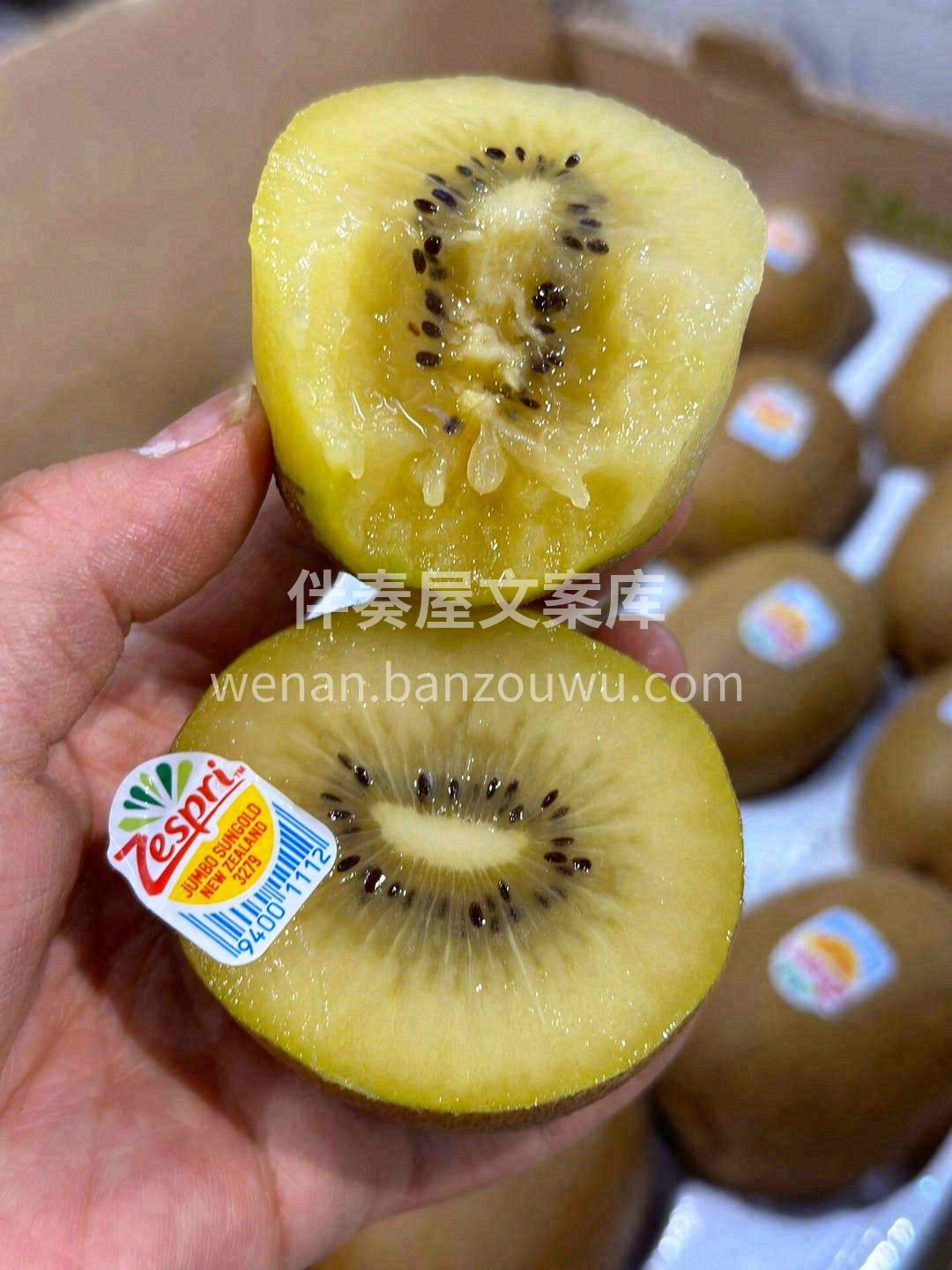 一身阳光赋予的金黄色，帅气迷人😻，果肉晶 配图2