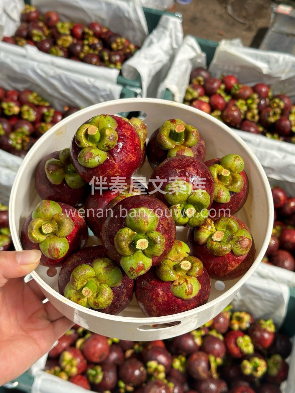 好甜好甜的山竹果🍑嗓子不舒服 内外各种上 配图3