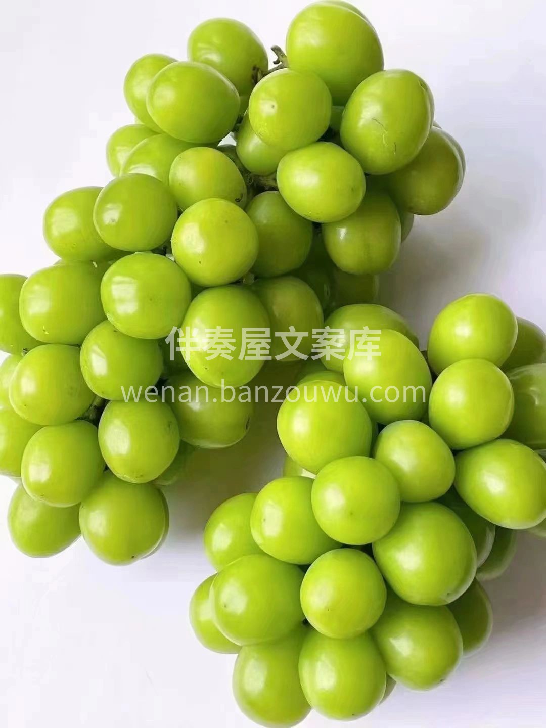 🍇【超大果超爆汁‼️阳光玫瑰葡萄来啦】  配图3