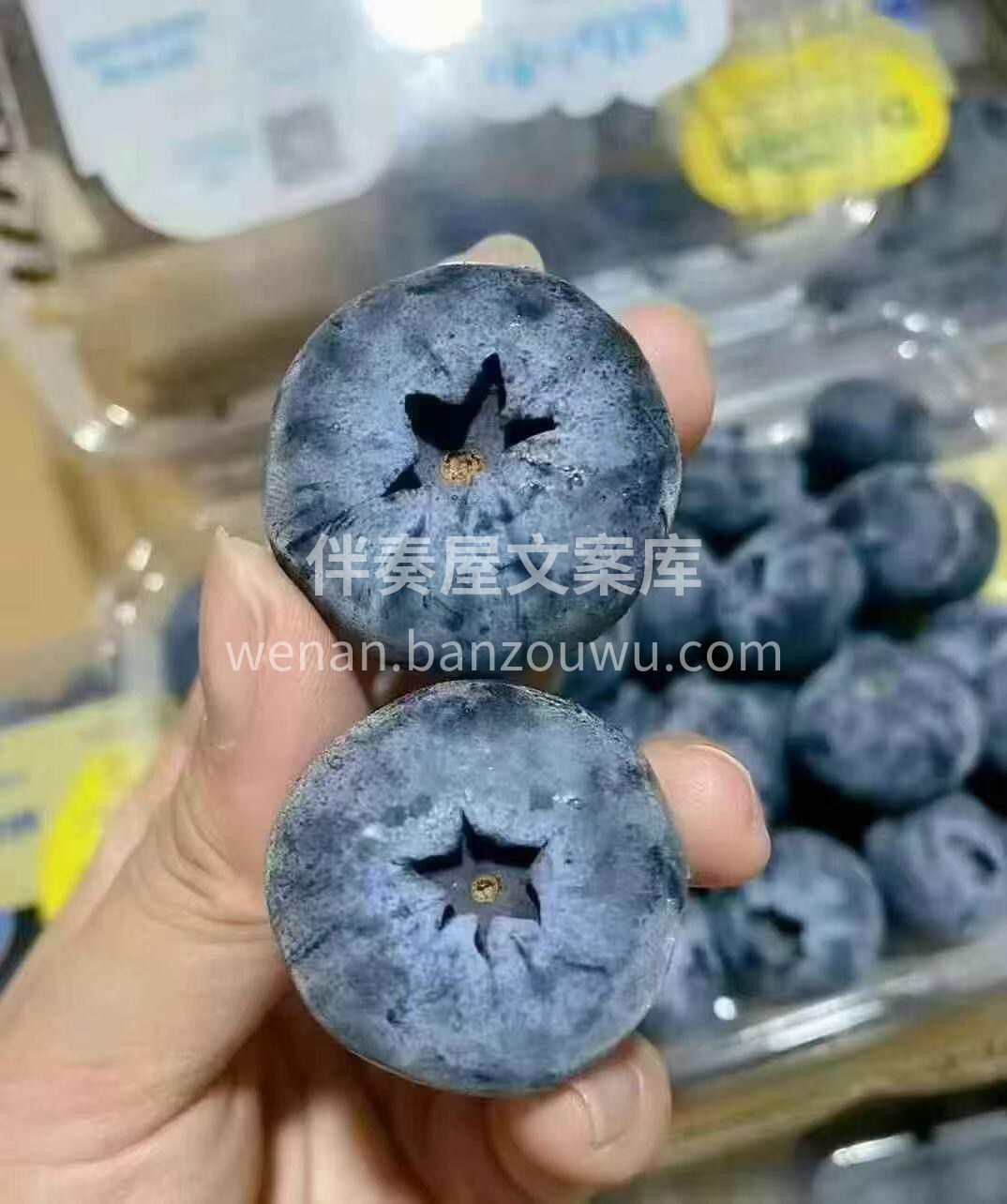 🫐怡颗莓蓝莓 蓝莓中的爱马仕来啦!!怡颗 配图1