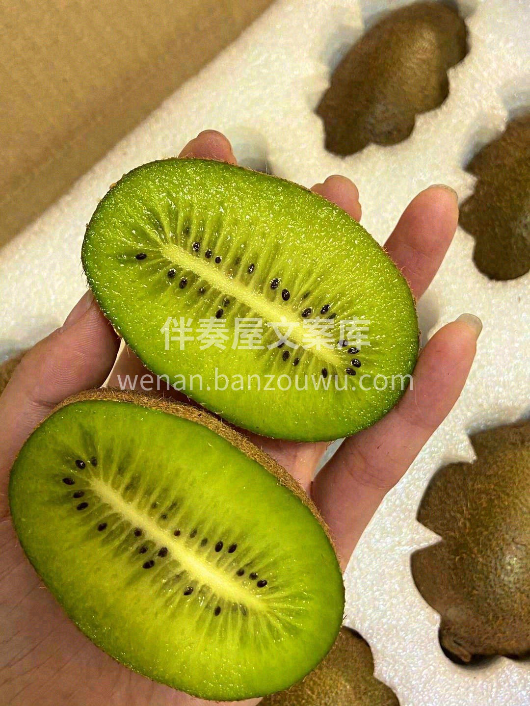 ?「翠香」就是有让人一旦开口便停不下来的 配图1