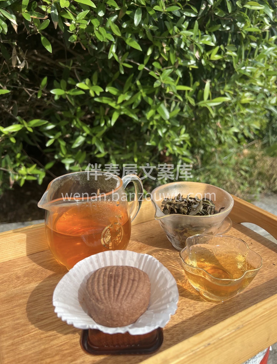 马蹄踏春归，单丛迎福来。愿新岁平安喜乐， 配图1