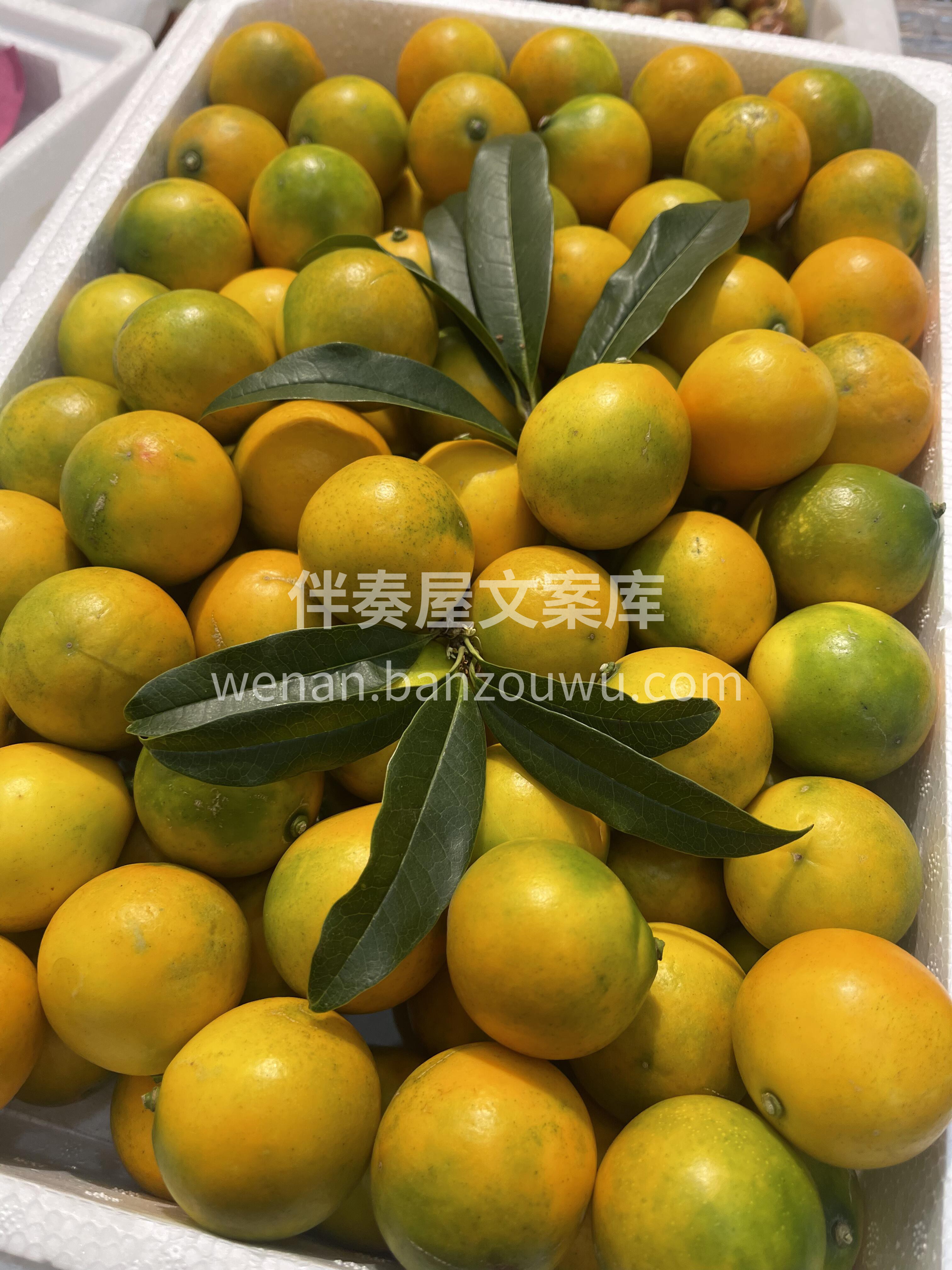 🍊脆皮金桔 初闻就是一股清香气🍃，吃到嘴 配图2