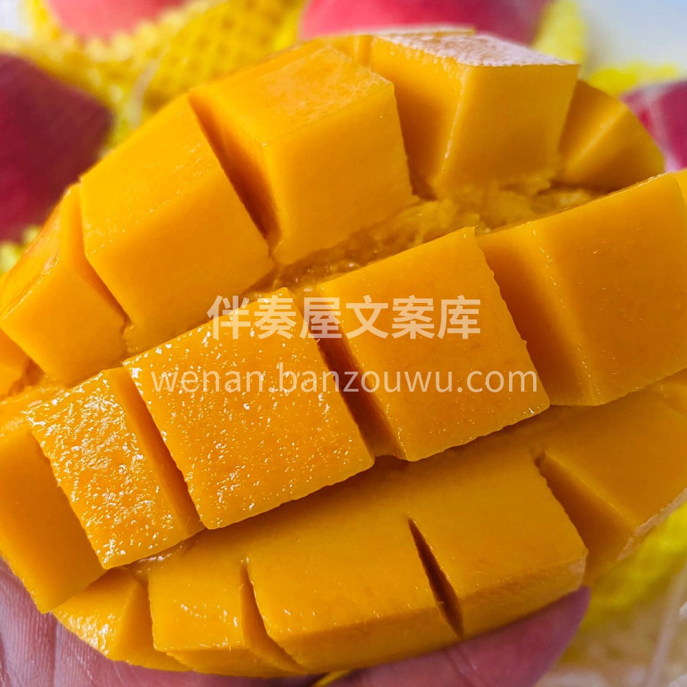 当季小台芒‼️肉质金黄，芒果味尤其浓郁❤ 配图2