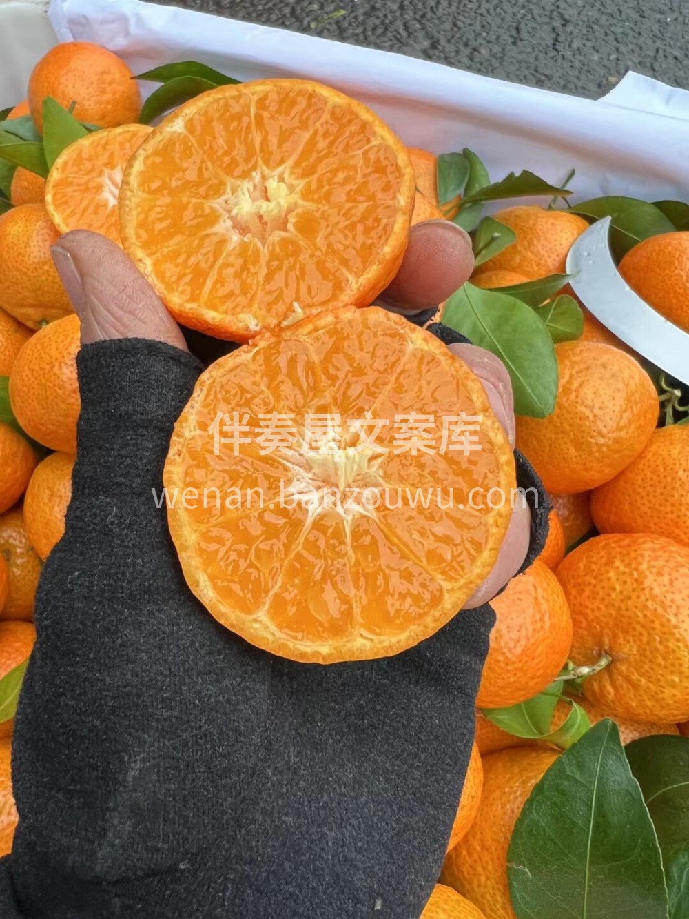 ☘️【沙糖橘 大果】🍊入口即化，果肉爽嫩 配图2