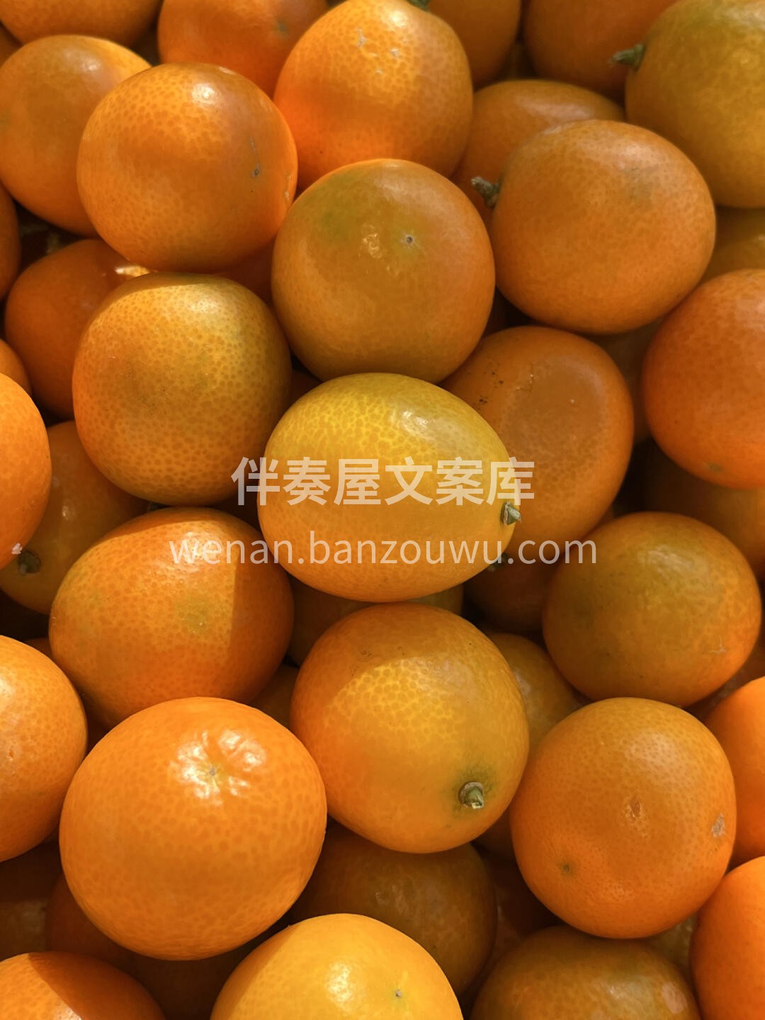 🌈吸收180天的日月精华😋 一口清甜沁人 配图1