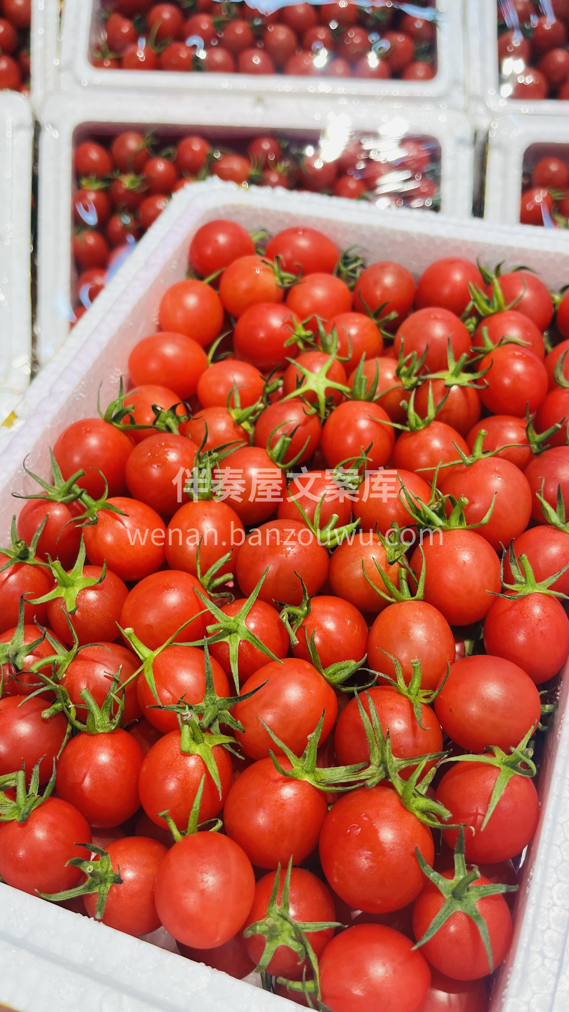 😋一口爆浆，甜到上瘾”的千禧果🍅 “Ta 配图2