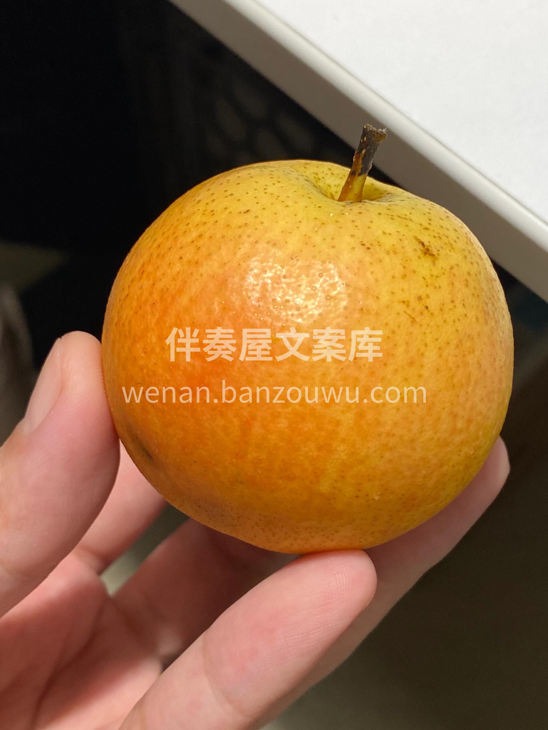 🥰超受欢迎的南果梨到货了‼️ 👉特有的土 配图3
