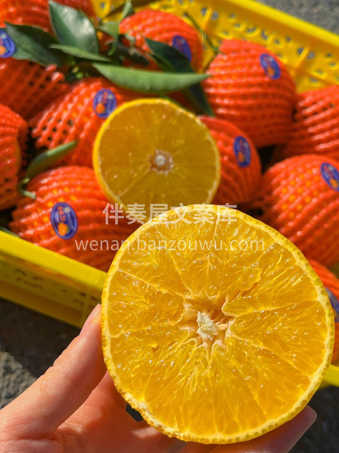 小朋友想吃果冻，害怕塑化剂🙅‍~~ 想喝 配图1