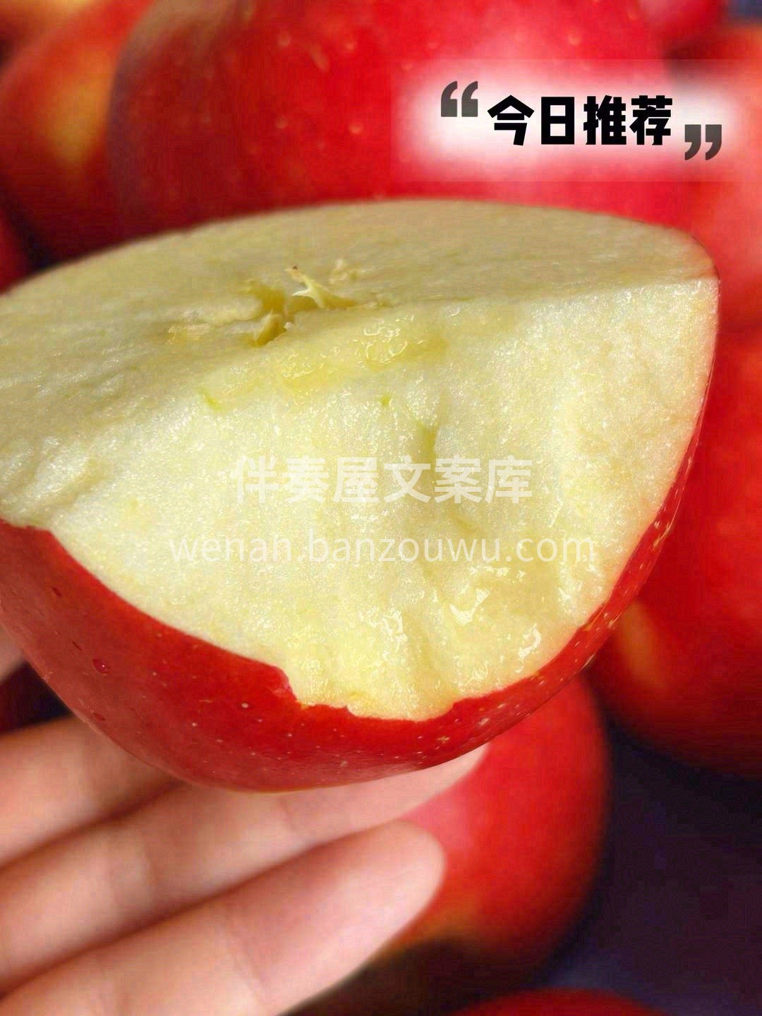 最娇艳的苹果🍎，每一面都如太阳照耀️得红 配图1