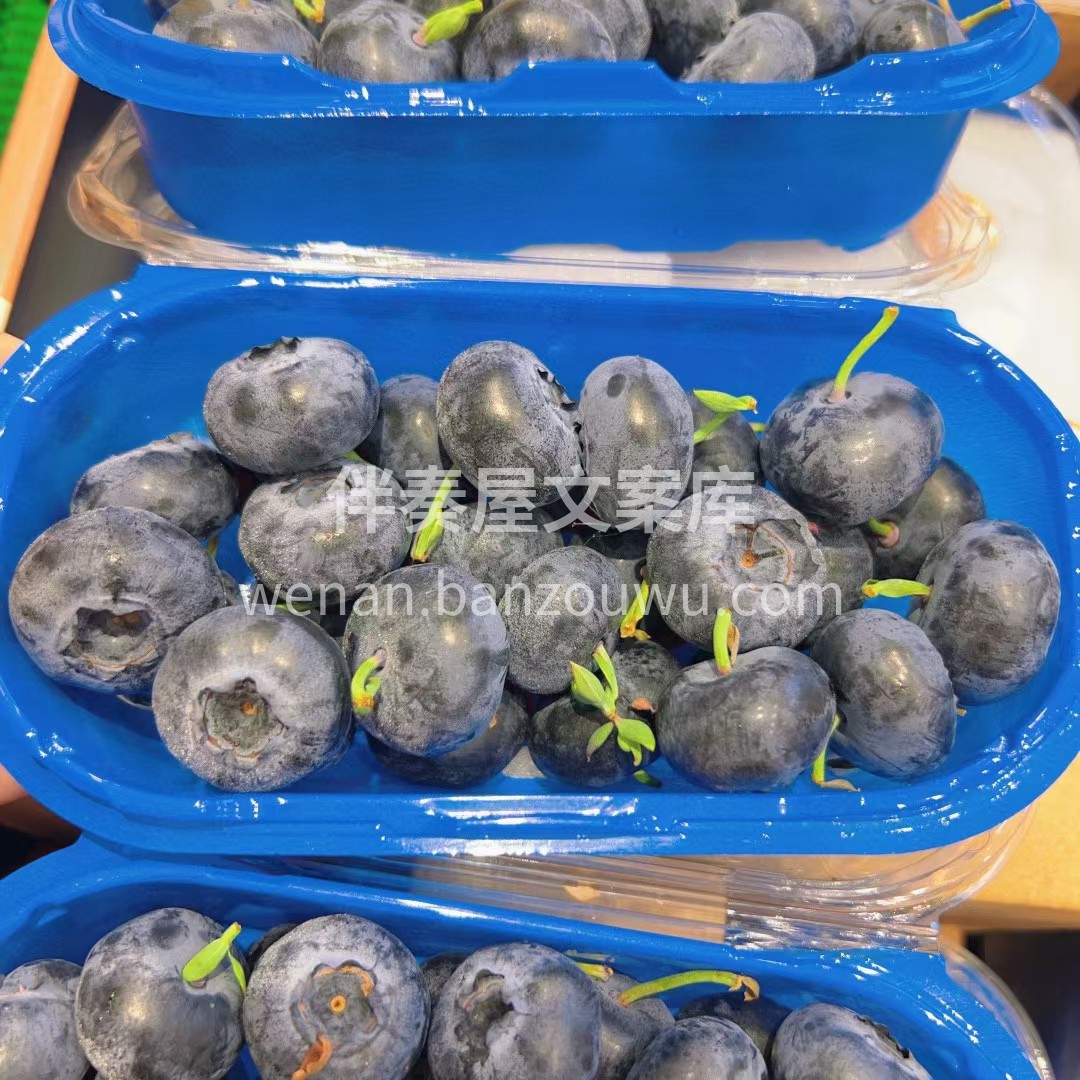 这大蓝莓🫐真的超爱😘 👑24+云南蓝莓  配图1