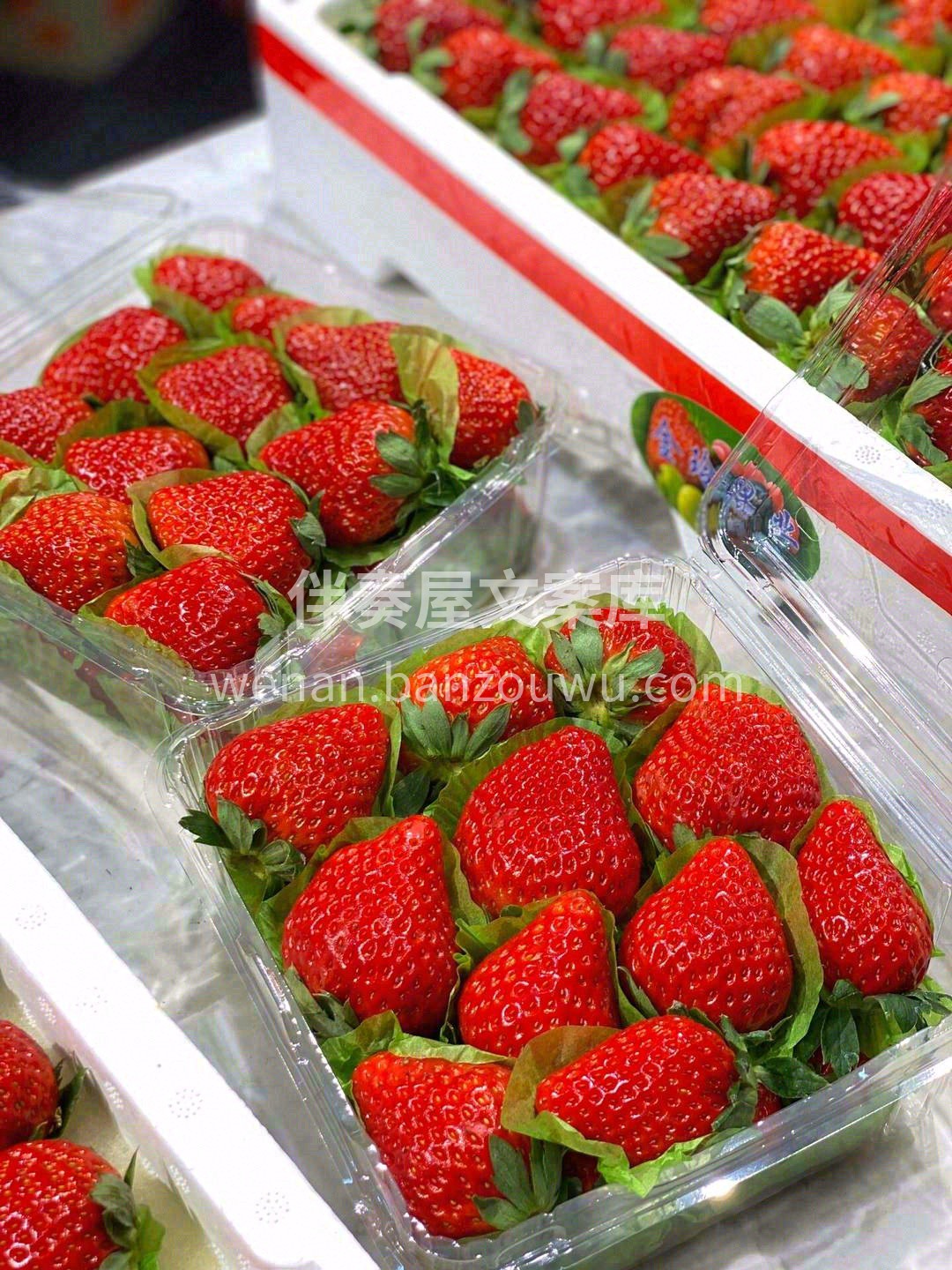 生活要有仪式感🎉 冬天的第一盒草莓🍓 给 配图1