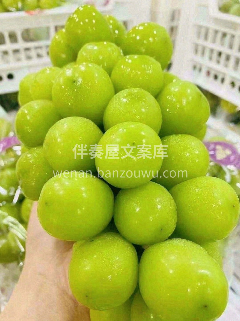 「阳光玫瑰｜一口咬住整个夏天！」** 像 配图1