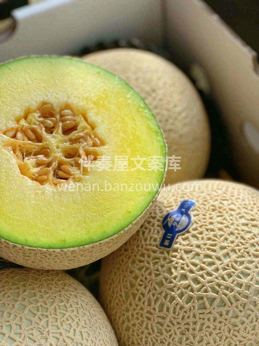 一藤只留一颗瓜🍈，一瓜甜蜜一个人💌 冰激 配图3